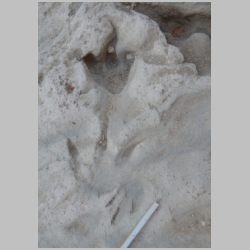 02-DSCN0236cr Baby at bottom.jpg